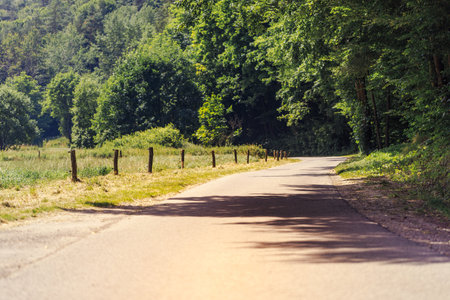 Car road in the summer forest.の写真素材