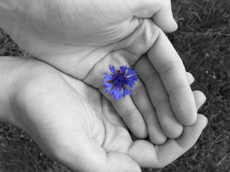 Handsの写真素材