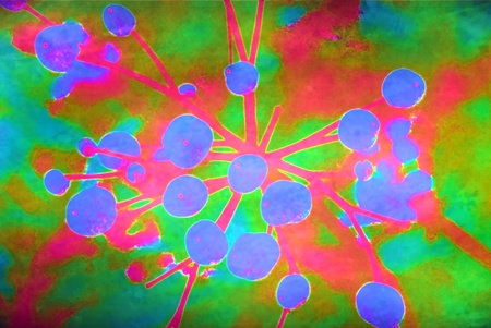 Colorsの写真素材