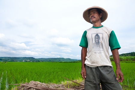 JOGJAKARTA INDONESIA 15th MAY. Indonesia is currently the worlds fourth-largest producer of rice in the world. A farmer looks out to his paddy field, 15th May 2010 Jogjakarta, Indonesia.のeditorial素材