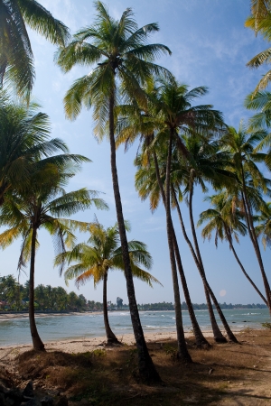 Beautiful beach with crystal clear blue waters of the Andaman sea against blue sky off west coast of Myanmarの写真素材