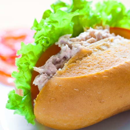 Delicious and healthy tuna sandwich with tomatoes and salad.の写真素材