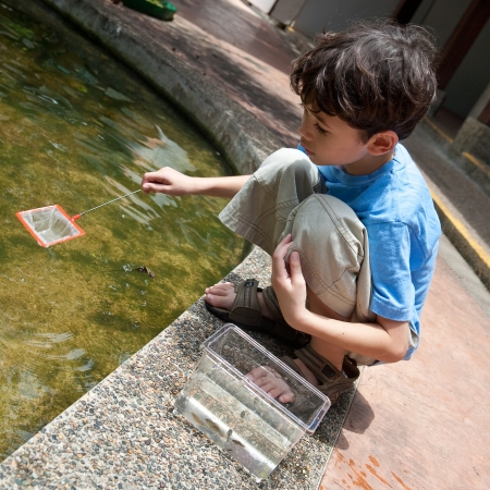 Young boy enjoying an activity of catching small fish in pond with net.の写真素材