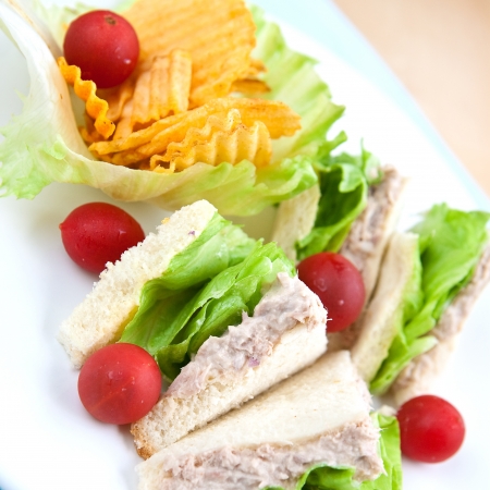 Tuna sandwich with salad and tomatoの写真素材