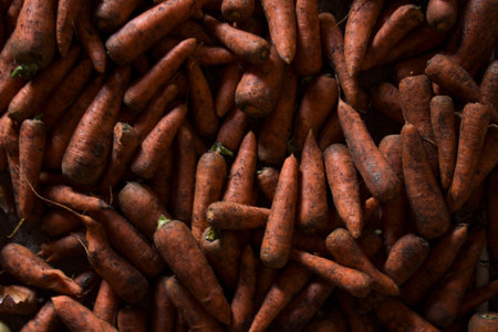 Carrots with green tops lie on the ground. Top view of unwashed and freshly picked carrots....