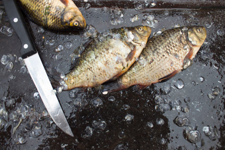 Fisherman cleaning a small fish