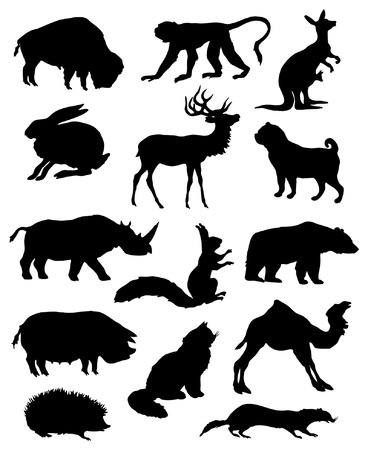 Vector silhouettes of various animals.のイラスト素材
