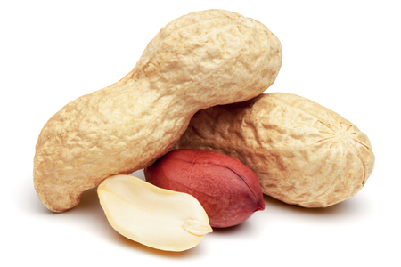 Closeup of peanuts, isolated on the white background,の写真素材