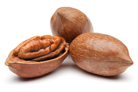 Closeup of pecan nuts, isolated on the white backgroundの写真素材