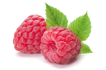Closeup of ripe raspberries with leaves isolated on the white backgroundの写真素材