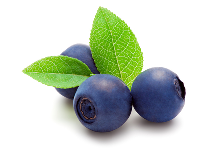 Blueberries with green leaves, isolated on the white background, clipping path included.の写真素材