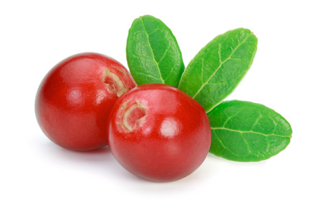 Closeup of red lingonberries (cowberries, foxberries) with leaves, isolated on the white background, clipping path included.の写真素材
