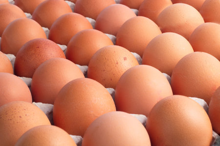 Top view of opened box of brown chicken eggs for background.