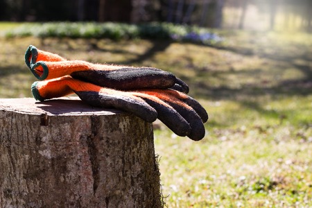 Garden gloves on a wooden tree stumpの写真素材