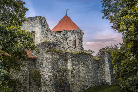 Medieval livonian castle ruins in Cesisの写真素材