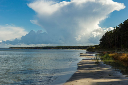 Baltic sea shore in Latvia. Sand dunes with pine trees and clouds.の写真素材