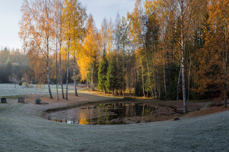 Beautiful view of autumn foggy misty morning with frosted plantsの写真素材