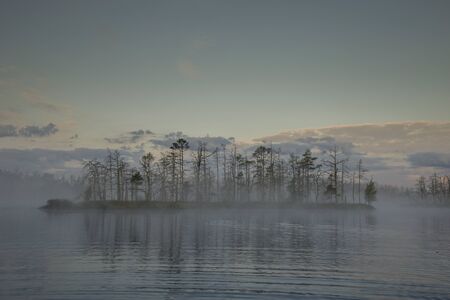 Sunrise at foggy swamp with small dead trees covered in early morning.の写真素材