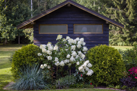 Beautiful backyard garden with a variety of flowering plants and shrubs. Well-maintained landscaping creates a colorful and inviting space. Perfect for gardening, home, or nature projects.の写真素材