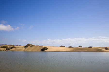 Maspalomas Dunes and lagoon in Gran Canaria. Sand dunes meet the water with vegetation and mountains in the background. Clear sky with scattered clouds.の写真素材