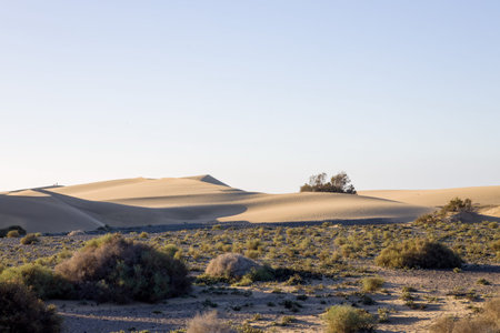 Maspalomas Dunes in Gran Canaria. Textured sand dunes with patterns, shadows, and faint footprints. Minimalist desert landscape. Perfect for nature, travel, or minimalist projects.の写真素材