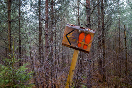 Wooden trail sign with a left arrow and red footprints, indicating a path in a dense forest. Rustic and handmade feel. Perfect for hiking, nature, outdoors, or adventure projects.の写真素材