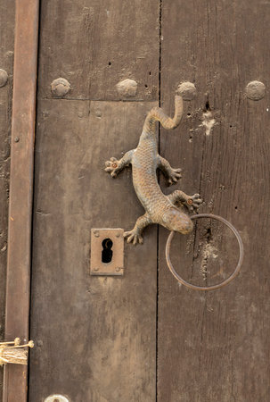 Lizard interacts with keyhole on wooden door in Frigiliana, Spain, showcasing local wildlife and architecture during daylightの写真素材