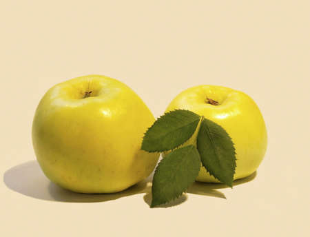 Appleの写真素材