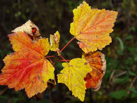 Networkの写真素材