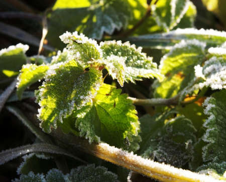 Found objectの写真素材