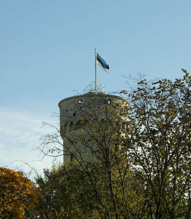 Tallinn mid summerの写真素材