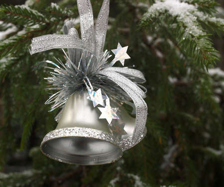 Christmas.の写真素材