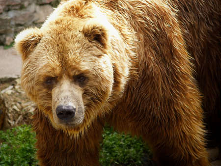 Do-gooder.の写真素材