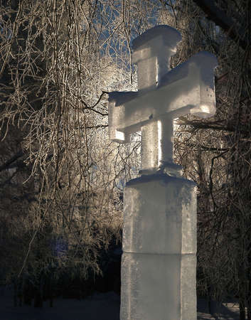 Sunny.の写真素材