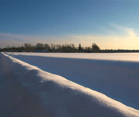 Winter.の写真素材