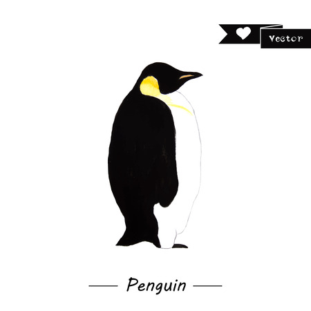 Emperor penguin illustration isolated on white. Watercolor background. Watercolour vector illustration. Wild life.のイラスト素材