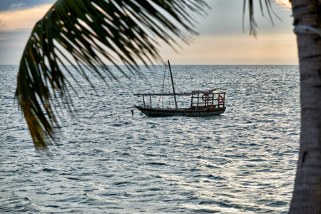 Typical dhow and palm leaf swings at sea at sunset, Zanzibar, Tanzania, Africaの写真素材