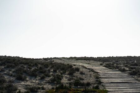 Natural gray wooden planks of a walking pathの写真素材