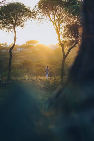 Young woman in distance enjoying the walk in the forest at sunsetの写真素材
