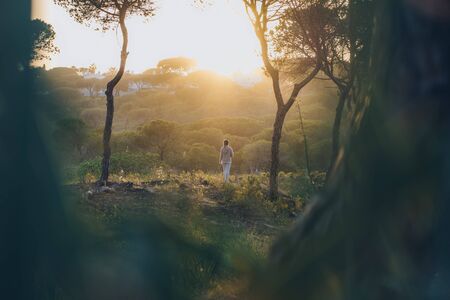Young woman in distance enjoying the walk in the forest at sunsetの写真素材