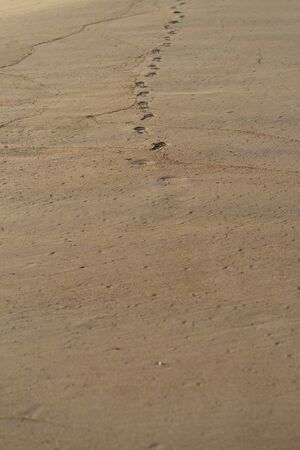 Footstep prints of a woman left on a beautiful sandy beach in Portugalの写真素材