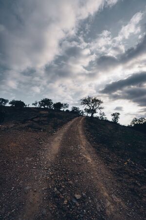 Mountain road between valleys and in Portugal at sunsetの写真素材