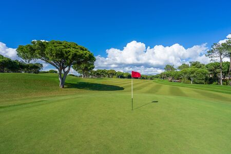 Beautiful, empty golf course with blue sky and green grassの写真素材