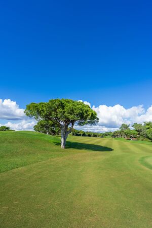 Beautiful, empty golf course with blue sky and green grassの写真素材
