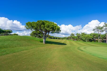Beautiful, empty golf course with blue sky and green grassの写真素材