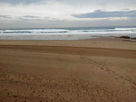 Sea and beachの素材