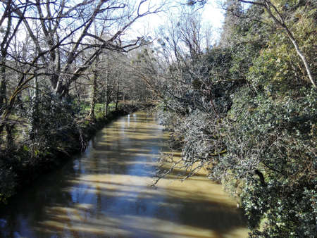 River channelの素材