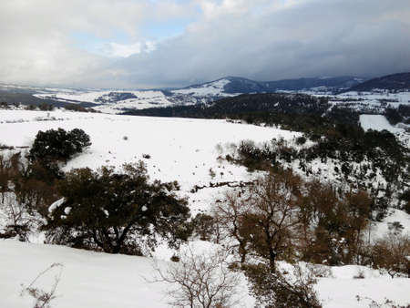 Snowy landscape of forest and grasslandの素材