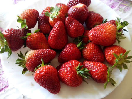 Strawberries and strawberriesの素材