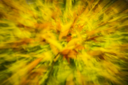 abstract yellow green colorの写真素材